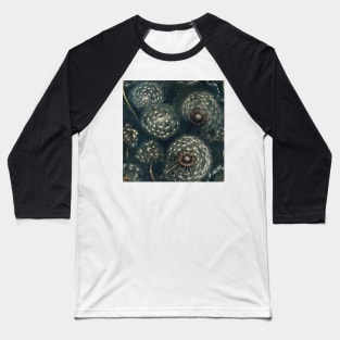 Dandelion Dreams Baseball T-Shirt